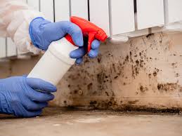 Best Mold Damage Restoration  in Golden Glades, FL